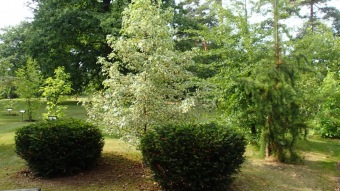 2016 Arboretum Žampach - konec léta (16.9.)