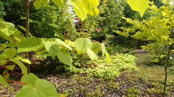 2016 Arboretum Žampach - konec léta (16.9.)