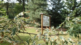 2016 Arboretum Žampach - konec léta (16.9.)