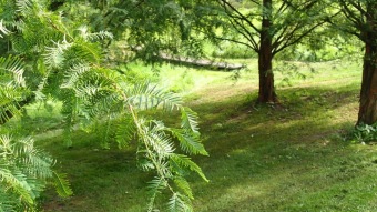2016 Arboretum Žampach - konec léta (16.9.)