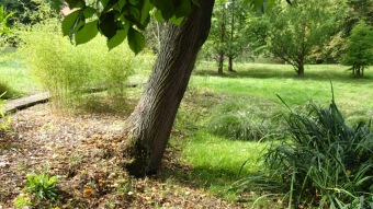 2016 Arboretum Žampach - konec léta (16.9.)