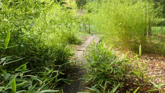 2016 Arboretum Žampach - konec léta (16.9.)