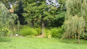 2016 Arboretum Žampach - konec léta (16.9.)