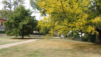 2016 Arboretum Žampach - konec léta (16.9.)
