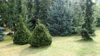 2016 Arboretum Žampach - konec léta (16.9.)