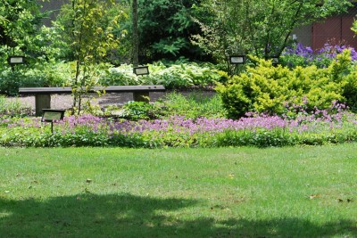 Žampach arboretum - horní park - léto (14)