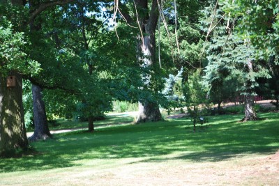 Žampach arboretum - horní park - léto (47)