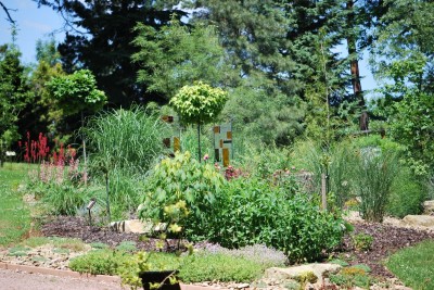 Žampach arboretum - horní park - léto (76)