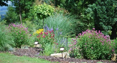 Žampach arboretum - horní park - léto (81)