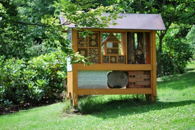 Žampach arboretum - horní park - léto (85)