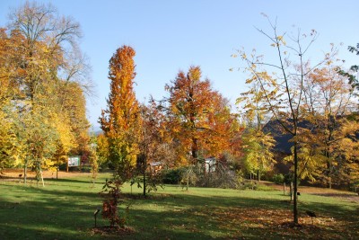 Žampach arboretum - horní park - podzim (23)