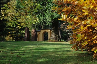 Žampach arboretum - horní park - podzim (26)