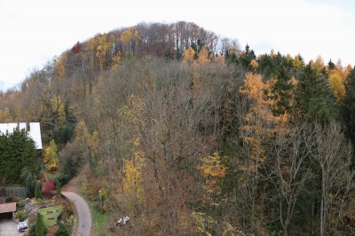 Žampach arboretum  - pohled z korun stromů horního parku