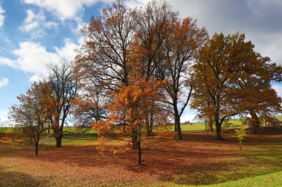 Žampach Arboretum - dolní park - podzim (12) 2020