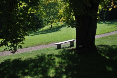 Žampach Arboretum - dolní park 2019 - nová cesta
