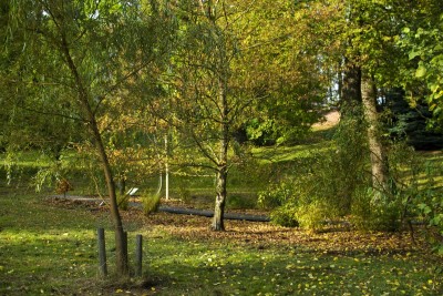 Žampach arboretum - dolní park - bažinná část 12