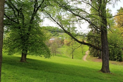 Žampach arboretum - dolní park - jaro (41)