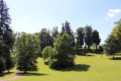 Žampach arboretum - dolní park - léto 2021 (3)