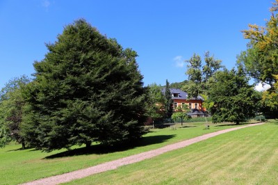 Žampach arboretum - dolní park - léto 2021 (6)