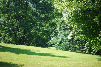 Žampach arboretum - dolní park - léto (11)