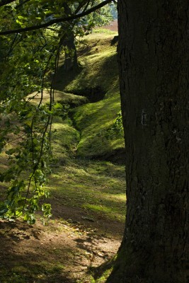 Žampach arboretum - dolní park - lokalita U pěti dubů