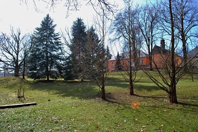 Žampach arboretum - dolní park - metasekvoje a douglasky - konec zimy