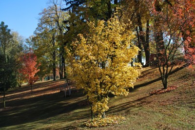 Žampach arboretum - dolní park - podzim (12)