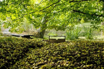 Žampach arboretum - dolní park - rybníček 14