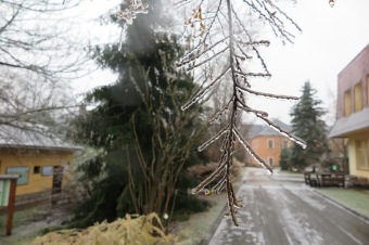 2018 Námraza ohrozila také Arboretum Žampach (3.12.)