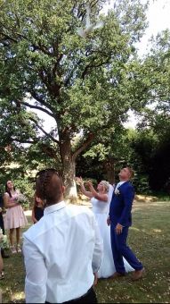 Svatební obřady v Arboretu Žampach - dolní park (srpen 2018)