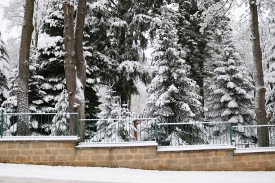 Žampach Arboretum - areál u zídky - zima 2021