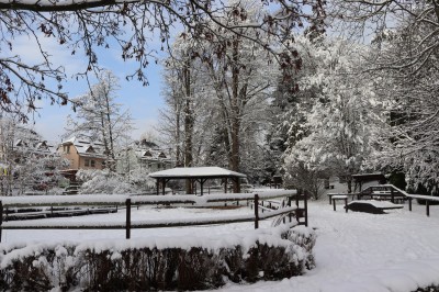 Žampach Arboretum - areál výběh - zima 2021