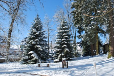 Žampach Arboretum - zima 2019 (20)