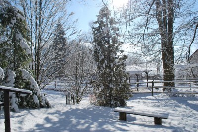 Žampach Arboretum - zima 2019 (24)