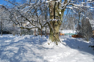 Žampach Arboretum - zima 2019 (26)