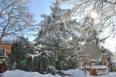 Žampach Arboretum - zima 2019 (8)