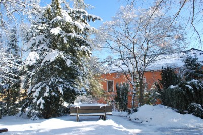 Žampach Arboretum - zima 2019 (9)