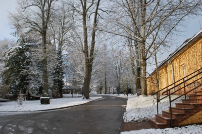 Žampach arboretum - vnitřní areál - zima 3