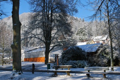 Žampach arboretum - vnitřní areál - zima 5