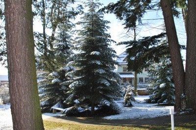 Žampach arboretum - vnitřní areál - zima 7