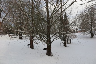 2018 Příchod zimy (12.12.)