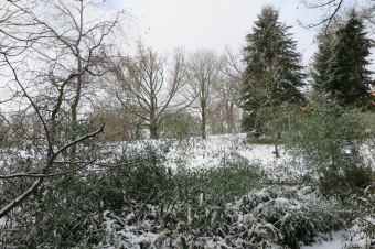 2018 Příchod zimy (12.12.)