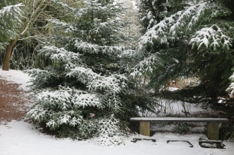 2018 Příchod zimy (12.12.)