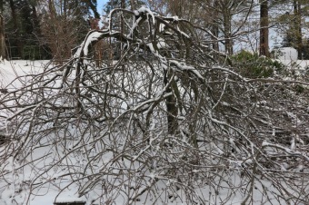 2018 Příchod zimy (12.12.)