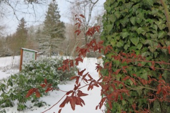 2018 Příchod zimy (12.12.)