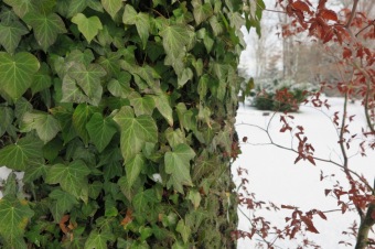 2018 Příchod zimy (12.12.)