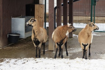 2018 Příchod zimy (12.12.)