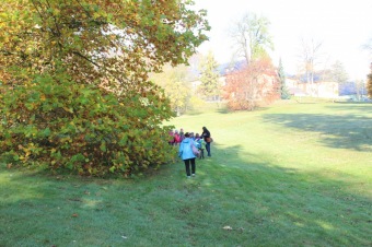 2019 Den stromů v Arboretu Žampach (22.10.)