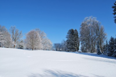 Žampach Arboretum - zima 2019 (36)