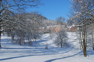 Žampach Arboretum - zima 2019 (57)